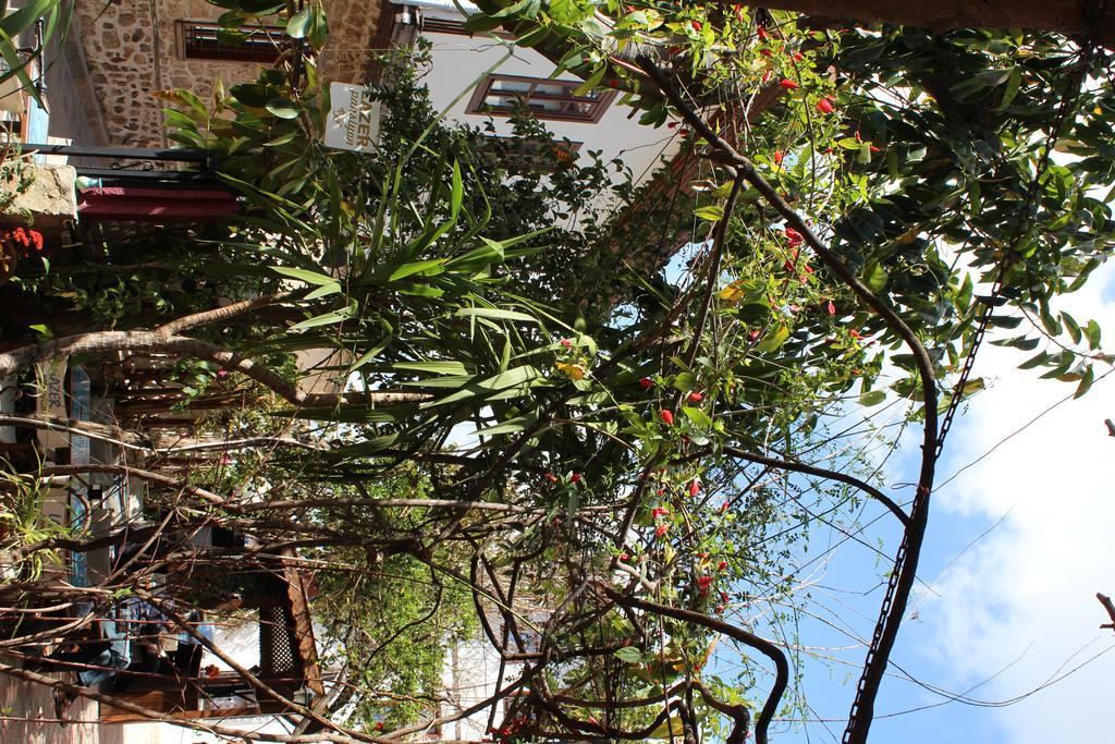 Lazer Pension Анталья Экстерьер фото