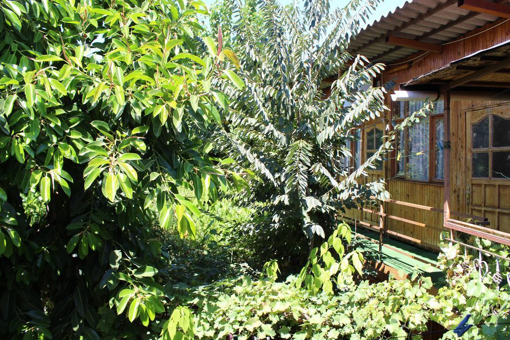 Lazer Pension Анталья Экстерьер фото