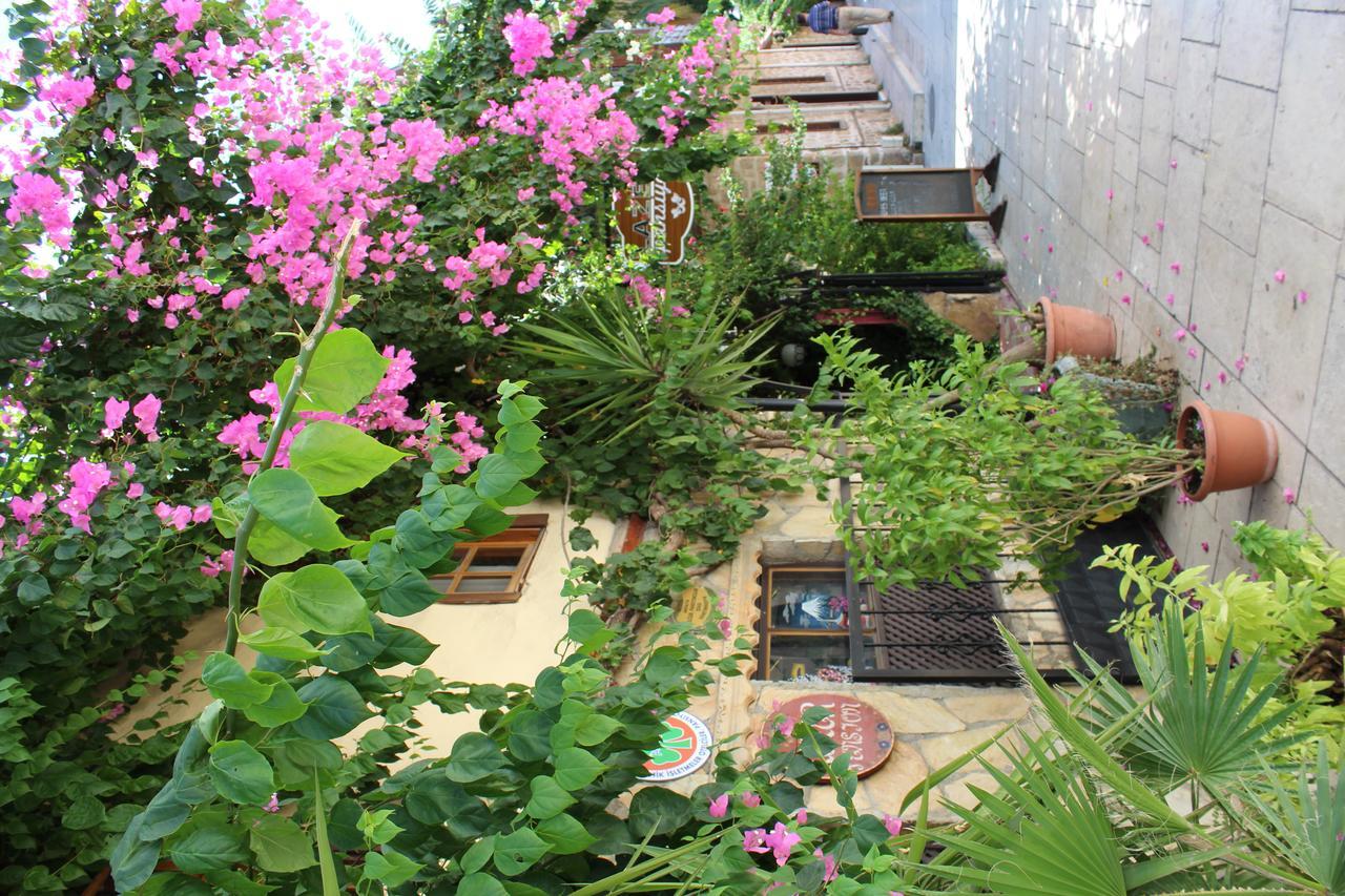 Lazer Pension Анталья Номер фото